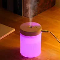 Colorful Humidifier Ultrasonic Mini Aromatherapy Diffuser USB Mist Sprayer  SD11